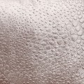 50ca209397f9dde93f4fbfa5c557a2bb