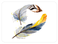 8dd4e3f91001f1c108b041989200c490