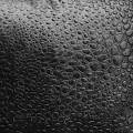 d80260ff916014482d28eea5141ed61b