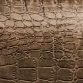 2c0bdb0f641a2fd5a5f78e415cb6778a