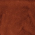 175005d02efd47eb703d63ce6df6bcfa