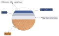e11da6190e1774c275c0c6d23a05c49b