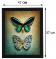 c9866dedac7a44050e78f845ce2f1913
