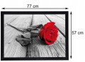 0ac3d815aa53c2878a571d3725869838