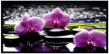 6a9c5bd94c9f3dd424bf5a431e57bc79