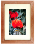 Fotorámeček passe partout 21x30 cm, hnědý