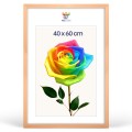 4425cb7a5dc0ddf4d6d91a71ba38fc36.jpg