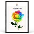 6fcc328e656121e55b480bd9b05a64b3.jpg