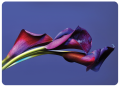 F4128.png