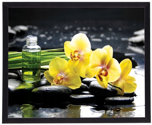 Obraz w czarnej ramie Żółte orchidee