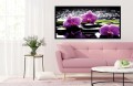 Fioletowe orchidee