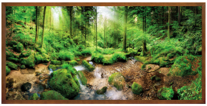 Moderní obrázek v hnědém rámu 50x100 cm - Forest 3