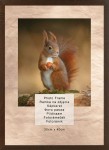 Fotorámeček 30x40 cm v barvě borovice čokoládové