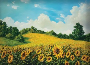 Originální olejomalba na plátně 65x100 cm Pole slunečnic King Original