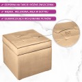5. INFOGRAFIKA PUFA PIKOWANA LUIZA 45 cm x 45 cm Primo Velvet 8810.jpg