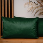 Dekorační povlak na polštář 40x60 cm ze zelené velurové látky