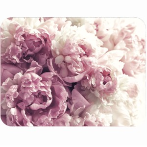 Tvrdá korková podložka s potiskem, tvrdá podložka, rozměr reprodukce 30x40 cm – Peony